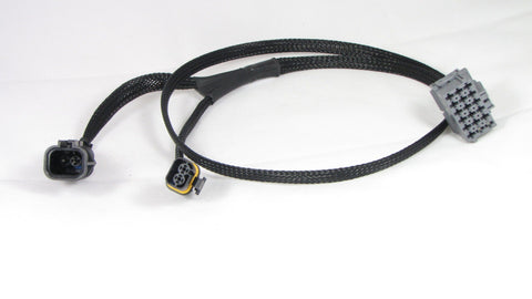 Y cable PRY2-0024